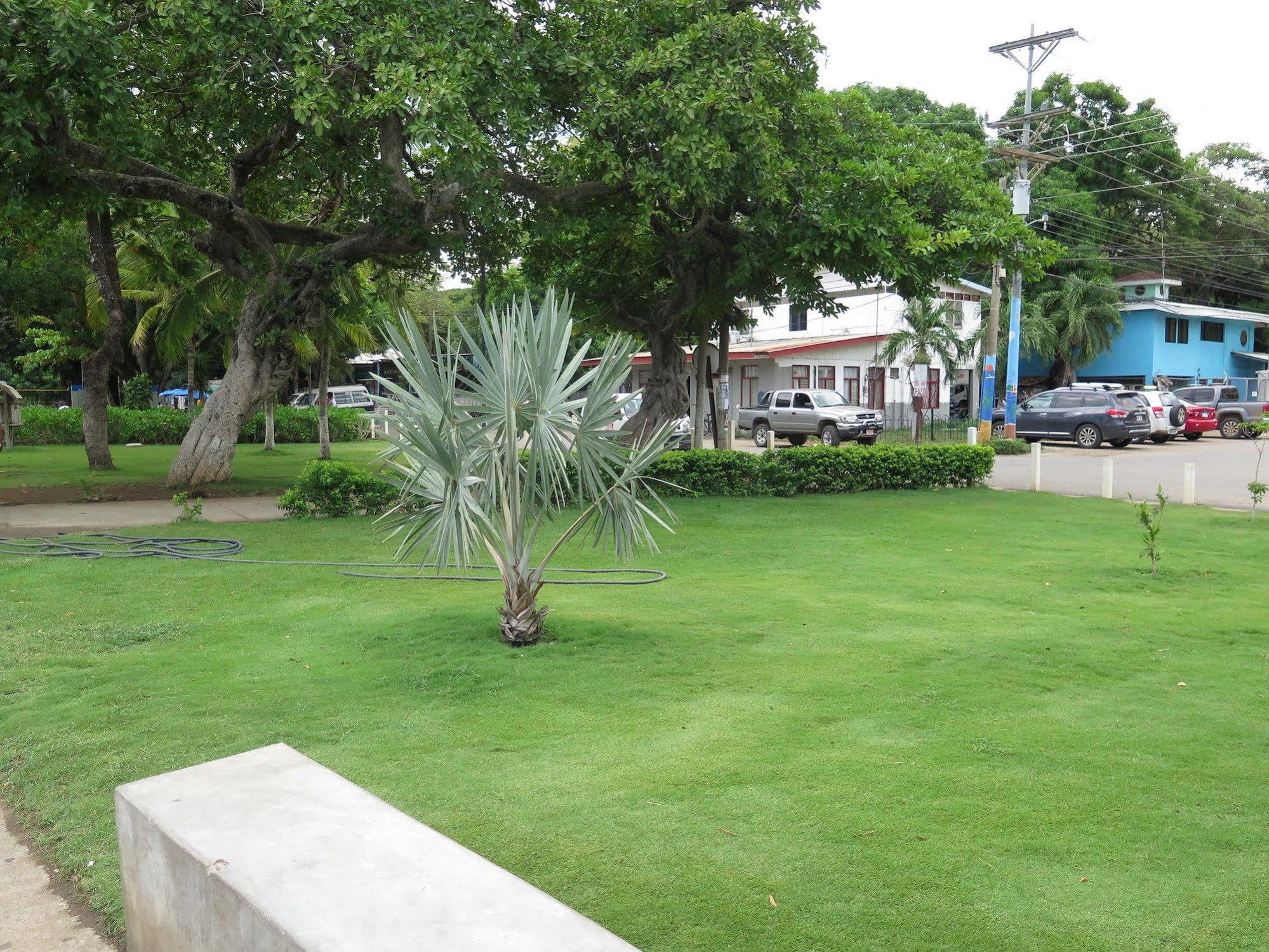 Hotel Savannah Playas del Coco Exterior photo